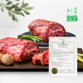 KMF Halal fesh beef 할랄인증 프리미엄숙성 한우 냉장 불고기 국거리 장조림 / 차돌냉동/1등급이상, 200g, 1팩, 차돌냉동