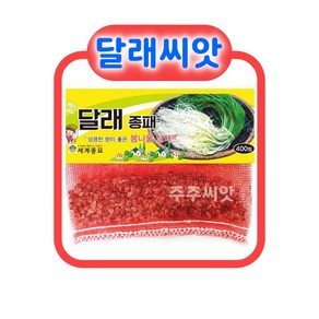 토종 산채 씨앗 종자 27종 모음