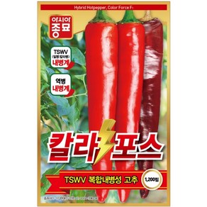 칼라포스 고추씨앗 600립 아시아종묘, 1개