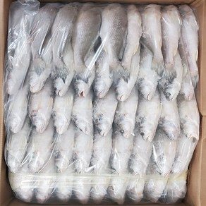 민어조기 몽실민어 5P0 영상가이석태 도매 업소용 (약 90미) 13kg / 6.5kg, 1개, 5p0 반통 6.5kg (약 45미)