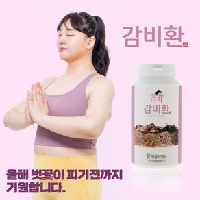 감비환(460g)1통 + (90g)2통, 460g