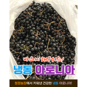 빠르게 해동되는 냉동2023년 햇 줄기제거 아로니아 1kg 단위 지퍼백 ( 냉동 급냉 ) 아로니아 아로니아생과 아로니아분말 냉동아로니아 블루베리 아로니아가루 아로니아원액 아로니아, 1개, 1kg.