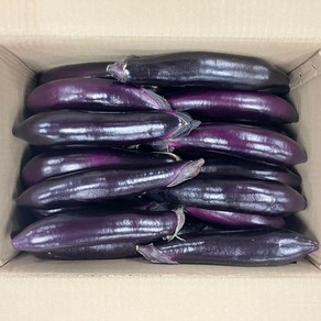 클릭마켓 국내산 햇 가지 2kg, 2kg(1개), 1개