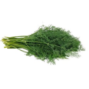 딜 생잎 약 10g DILL 향신료 허브, 1개