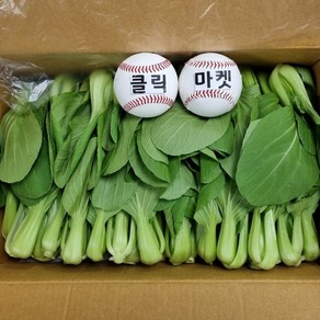 클릭마켓 국내산 청경채 4kg 마라탕 샤브샤브 용