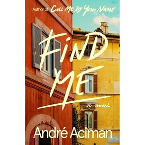 Find Me: A Novel:< CALL ME BY YOUR NAME > Sequel