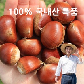 [산지직송]특품 공주 햇밤 100% 국내산 알밤 생율