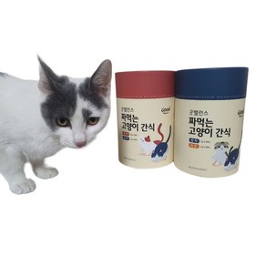 굿밸런스 짜먹는 고양이 간식 굿벨런스 대용량 츄르 추르 쭈르 쮸르 잇쮸 잇쭈, 굿밸런스 참치30p + 치킨30p