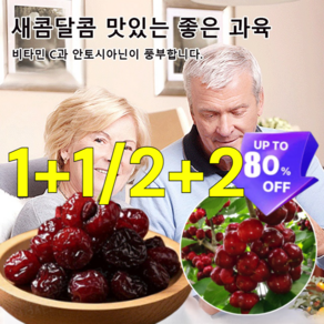 말린체리+말린블루베리 [뼈 관절 보호]칠레 수입 말린 체리 유기농 무설탕 말린체리 프리미엄 말린 체리 말린 블루베리 무설탕, [2+2] 208g 말린 체리+208g 말린 블루베리, 1개