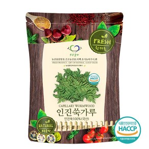 푸른들판 국내산 인진쑥 분말 가루 100% HACCP 인증, 1개, 500g