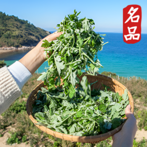 [거문도의자부심] 해풍맞고 자란 거문도 노지 해풍 쑥 (특), 1개, 1kg