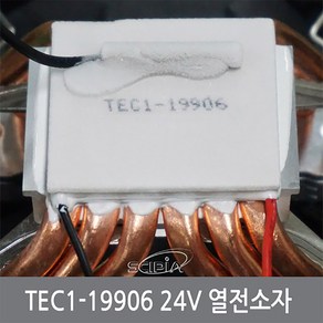 싸이피아 CD2 TEC1-19906 24V6A 열전소자 펠티어 수냉쿨러 냉각, 1개