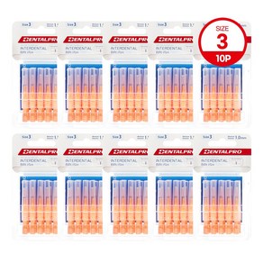 잭스 덴탈프로 치간칫솔 3단계 10p 1.0mm, 10개입, 10개, 1mm