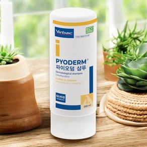 버박 파이오덤 강아지 약용샴푸 고양이 애견 샴푸 250ml