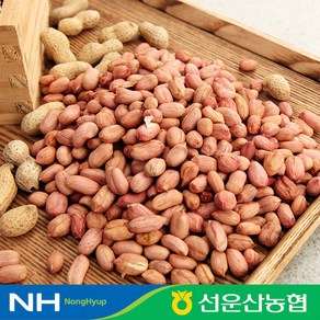 [선운산농협] 24년 햇 국내산 고창 생 알땅콩 1kg