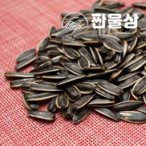 볶은 껍질 해바라기씨 1kg 1000g 까먹는 볶음 꽈즈, 1개