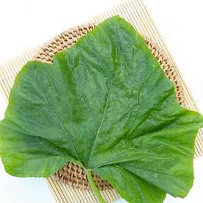 (생)호박잎 200g 400g 1kg(산나물), (생)호박잎400g, 1개