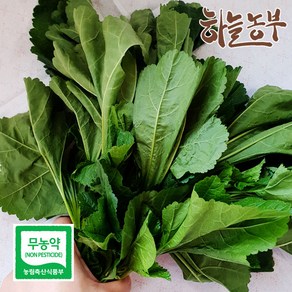 하늘농부 친환경 아욱, 1개, 아욱 150g