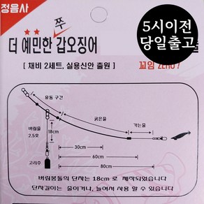 정음사 갑오징어 가지채비 가지줄 쭈갑 채비 더 예민한 국내생산