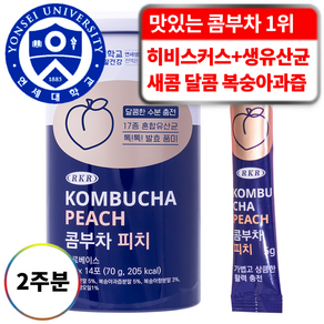 연세생활건강 RKR 진짜 맛있는 17종 유산균 혼합 콤부차 피치복숭아, 5g, 14개입, 1개, 5g