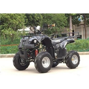 사륜 4륜 바이크 사발이 농업용 효도상품 125cc atv, 블랙