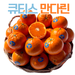 제철달력 미국직수입 초고당도 큐티스 만다린 감귤, 1세트, 2.0kg