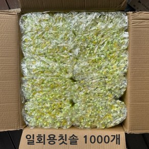 일회용칫솔 opp 일반모 호텔 치과 마사지샵 업소용칫솔 개별포장, 1000개입, 1세트