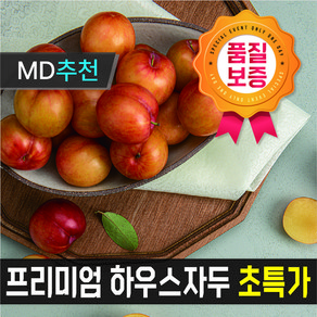 [[프리미엄초특가]] 백화점VIP납품상품 상큼달콤 너무맛있는 하우스 자두, 1개, 600g(소과)22-24과