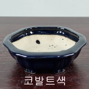 15. 손바닥정원 소품꽃분 분재화분 승전분, 코발트색, 1개