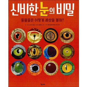 신비한 눈의 비밀:동물들은 어떻게 세상을 볼까?, 키다리