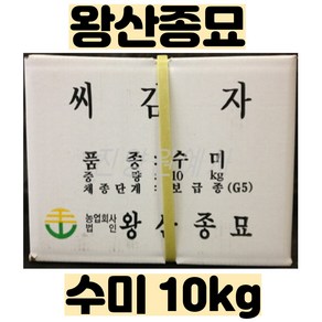 씨감자 ( 수미 / 두백 / 단오 ) 10kg - 강원도 왕산종묘 - 보급종 종자 - 품질보증 종자 감자, 1개, 수미 (10kg)