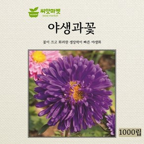 아람종묘 야생과꽃 씨앗 1000립, 1개