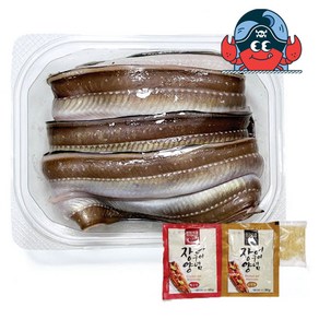 [당일조업] 통영 자연산 바다장어 2kg(4~6미)+홍가리비1kg 무료증정, 1개, 1kg 대사이즈 (2~3미)