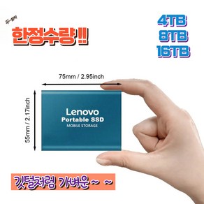 미니 회장하드 포터블 SSD 휴대용 4TB 8TB 보급형, 블루