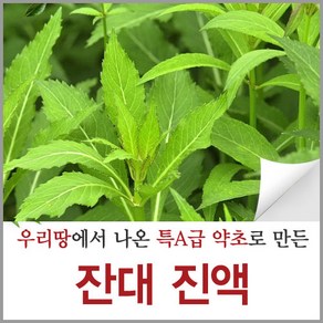 신토불이약초 잔대 진액 즙 뿌리 액기스 원액 90ml 60포, 60개