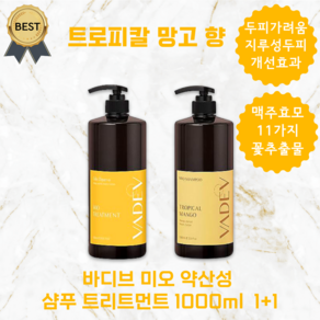 바디브 미오 약산성 샴푸 헤어 트리트먼트 1000ml 1+1 set, 2개, 1L