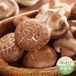 [다유다]무농약 생표고버섯 파지 4kg 전남 함평 산지직배송, 1개