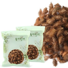 동의한재 국산 도꼬마리 창이자, 300g, 2개