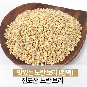 진도 노란보리 찰보리 햇곡 잡곡쌀 1kg [23년산 출하], 1개, 2kg