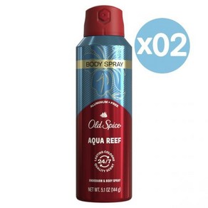 Old Spice 올드 스파이스 남성용 데오드란트 알루미늄 프리 아쿠아 리프 144g 2팩 Aluminum Fee Body Spay fo Men Aqua Reef, 1개