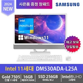 삼성전자 올인원PC DM530ADA-L25A