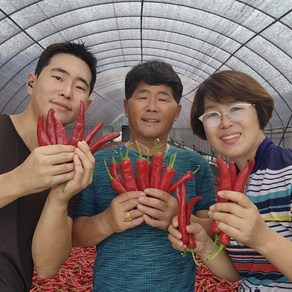 [당일제분] 100% 국내산 굵은 햇 고춧가루 김치/반찬용 보통 매운맛(청양20%), 1개, 500g
