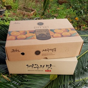 -7일간반짝할인- 제주한라봉 3kg(9-12수 대과 선물용) 오감만족 상큼하고 과즙미 팡팡 품격있는 명절과일선물세트!