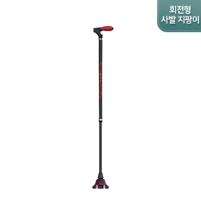 아이온 지팡이 BS 10단계 길이조절, 1개