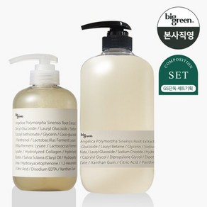 빅그린 23 샴푸 안젤리카 500ml+1000ml 세트/ 민감성두피, 1개