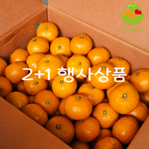 2+1 행사 제주 타이벡농법 감귤 3kg 4.5kg외, 1개, 2+1상품 3kg L~2L 중대과