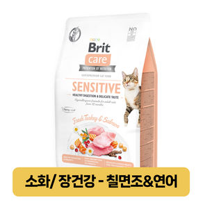 [유통기한 할인] 브릿 케어 캣 그레인프리 예방식 요로건강 다이어트 소화건강 기능성 사료, 1개, 2kg, 소화기능/췌장개선