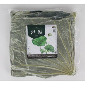 [내만갯벌] 무농약 자연산 생연잎 1kg 2kg, 연잎2kg, 1개