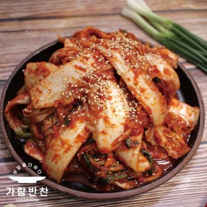 생굴겉절이 1kg 100% 국내산 가람반찬 전라남도김치 국산배추 자연산 태양초, 생굴겉절이1kg, 1개