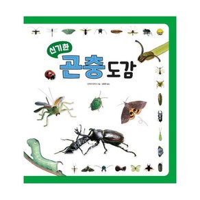 신기한 곤충 도감